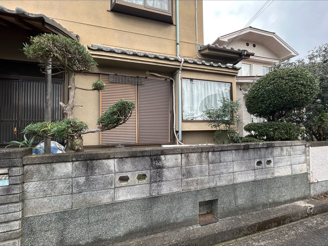画像3590