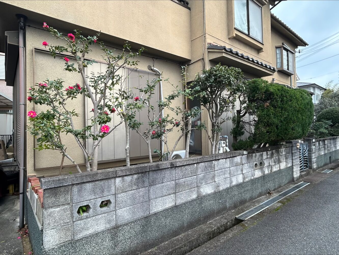 画像3591