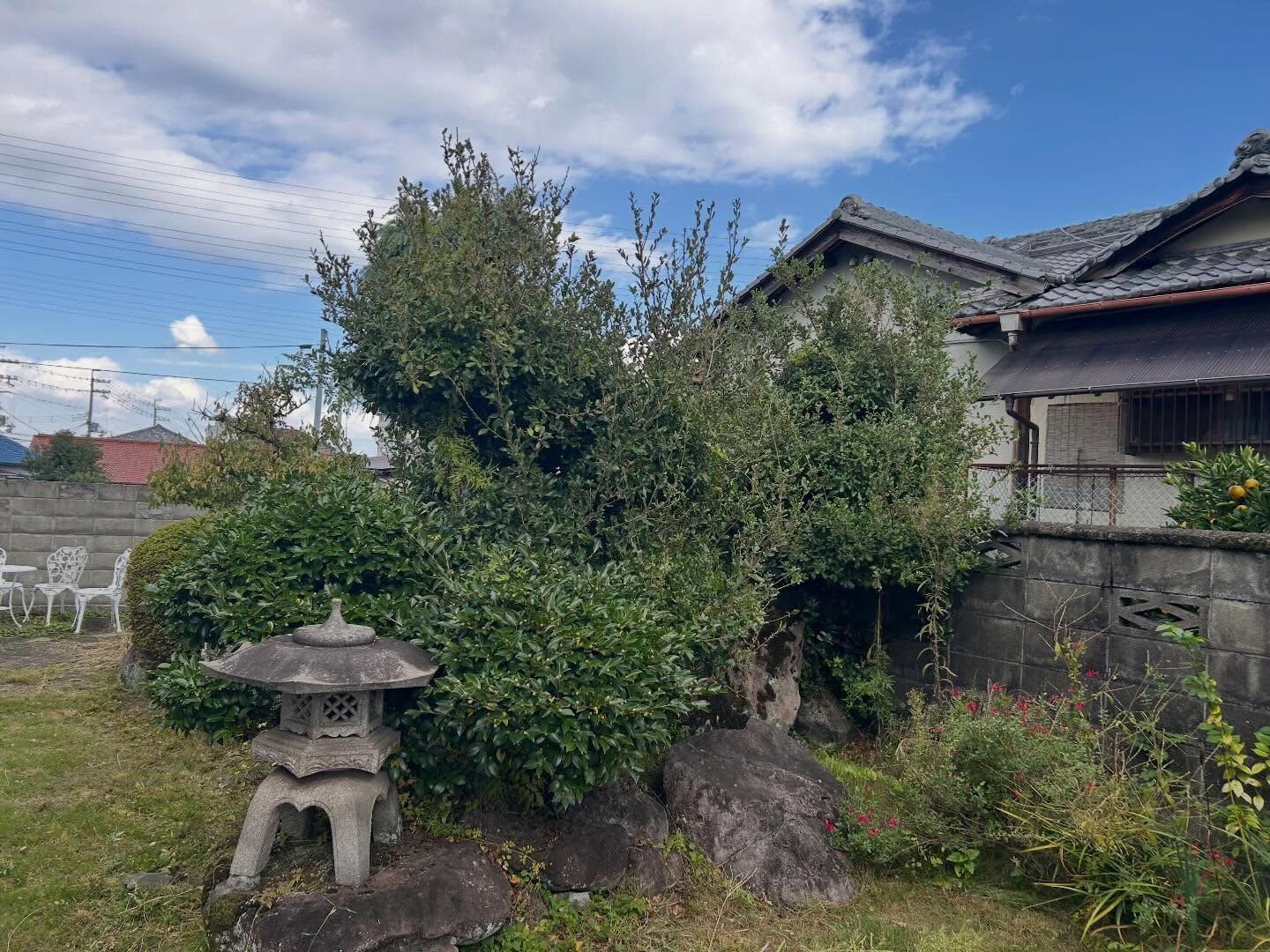 泉佐野市で植木剪定を行いました🌿