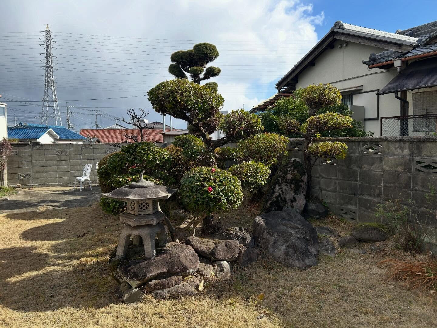 泉佐野市で植木剪定を行いました🌿